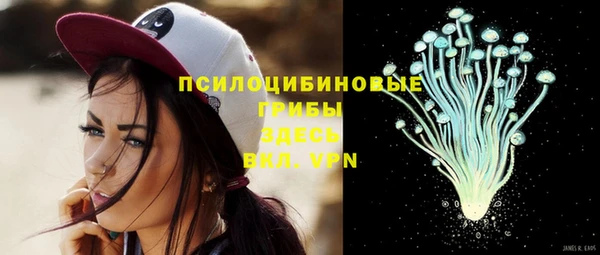 твердый Каменка